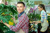 man and woman working in the greenhouse.